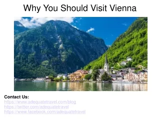 why you should visit vienna