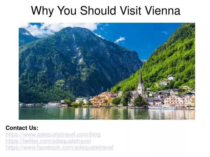 why you should visit vienna