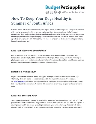 How To Keep Your Dogs Healthy in Summer of South Africa- BudgetPetSupplies