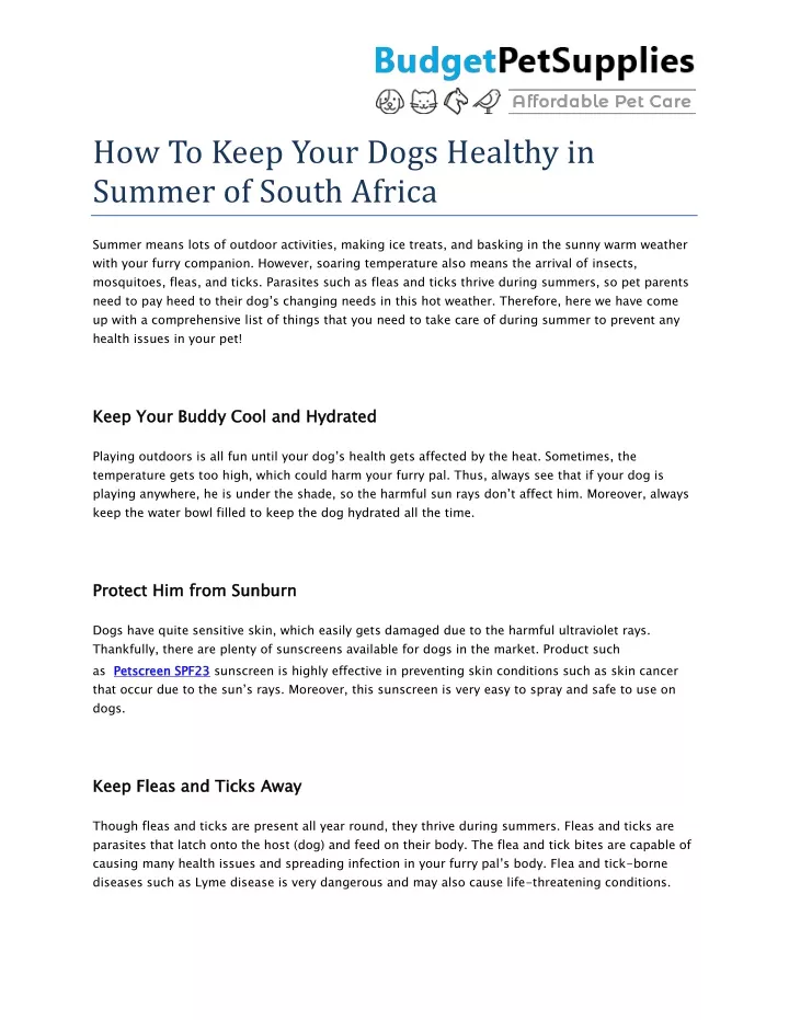 how to keep your dogs healthy in summer of south