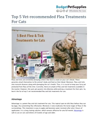 Top 5 Vet-recommended Flea Treatments For Cats- BudgetPetSupplies