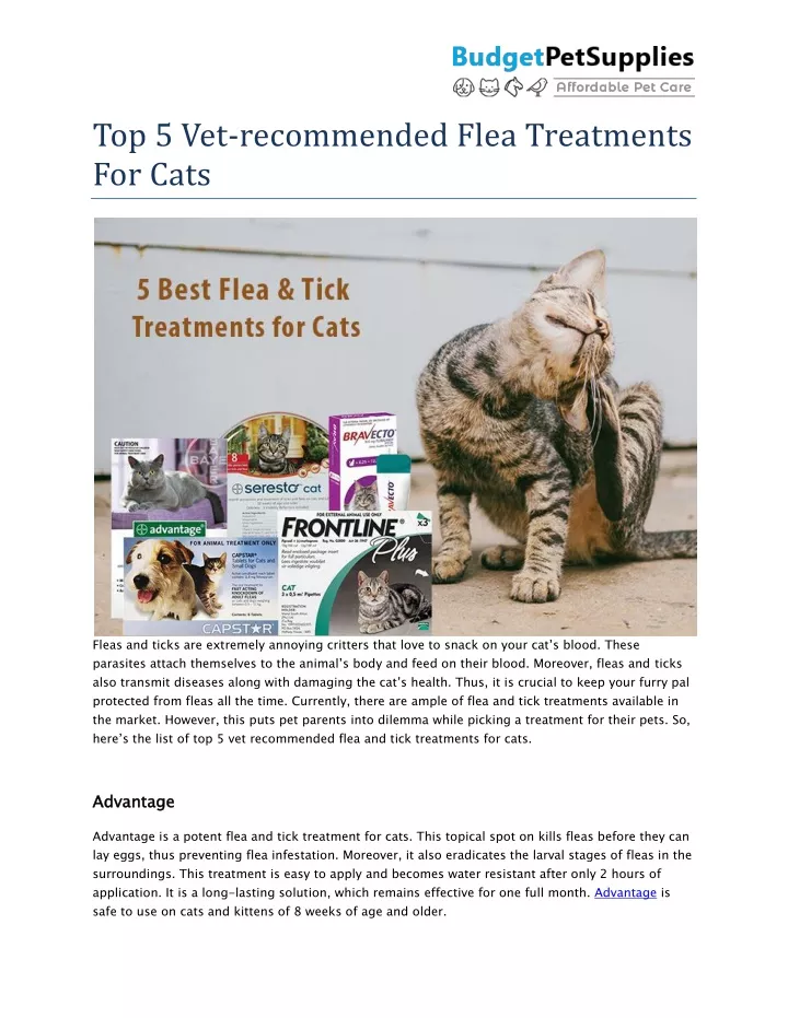 top 5 vet recommended flea treatments for cats
