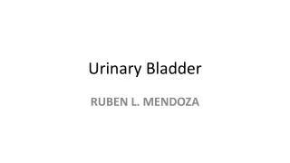 Urinary Bladder