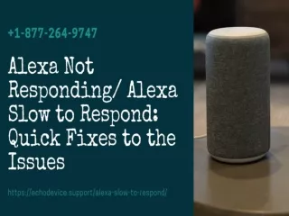 Alexa Not Responding | Alexa Slow to Respond –Fix Now | Alexa Having Trouble Understanding
