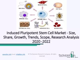 Induced Pluripotent Stem Cell Market Future Opportunity Assessment 2022