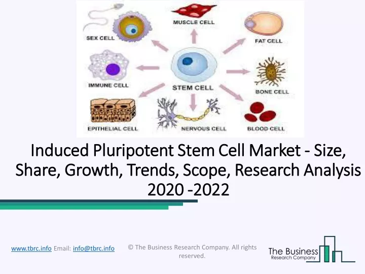induced pluripotent stem induced pluripotent stem