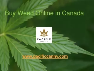 Buy Weed Online in Canada - pacificcanny