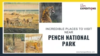 Incredible Places To Visit Near Pench National Park