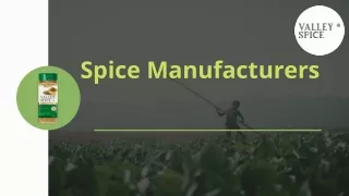 Best Spice Manufacturers In India Curators Of Taste and Purity | Valley Spice