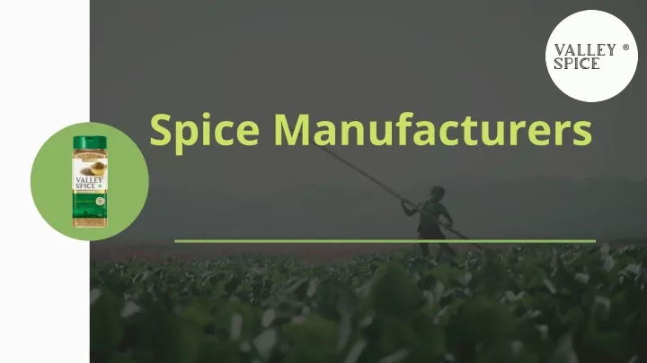 spice manufacturers