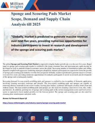 Sponge and Scouring Pads Market Scope, Demand and Supply Chain Analysis till 2025
