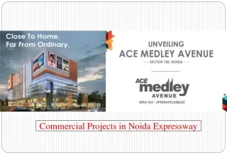 Commercial Projects in Noida Expressway - Ace Medley Avenue