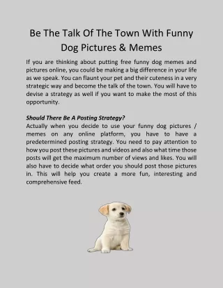 Be The Talk Of The Town With Funny Dog Pictures & Memes