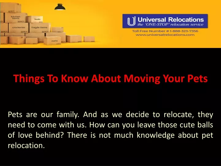 things to know about moving your pets