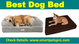 Best Dog Bed In 2020