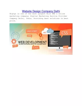website design company delhi bigtgs