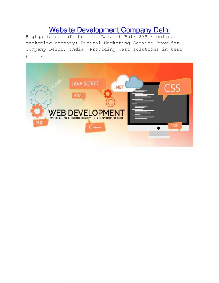 website development company delhi bigtgs