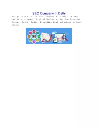 seo company in delhi
