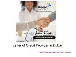 Letter of Credit Provider in Dubai