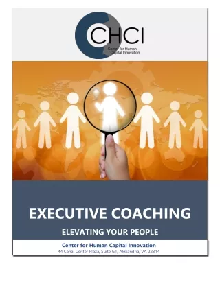 Executive Coaching Program