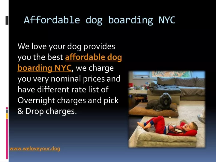affordable dog boarding nyc