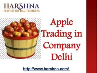 Apple Trading Company in Delhi - ( 91-9811058860) – HARSHNA