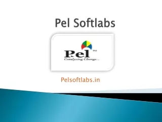 Pel Softlabs Reviews