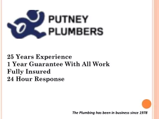 putney plumber