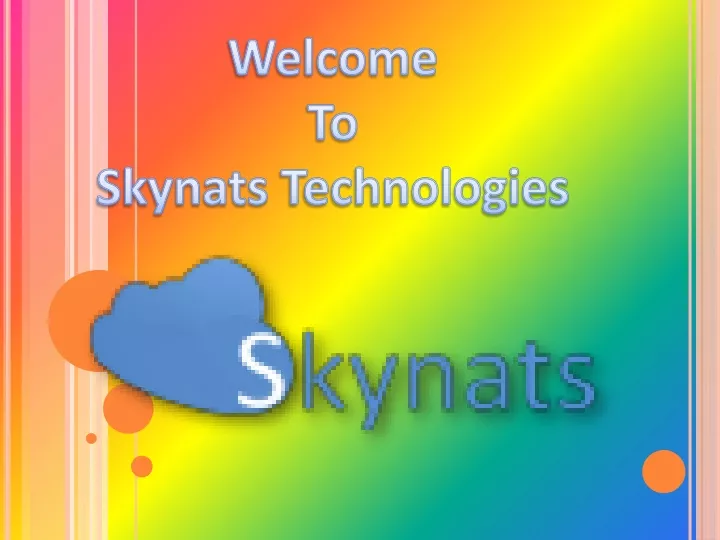 welcome to skynats technologies