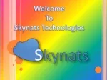 Server Management Company | Managed Cloud Services | Skynats - slide 1