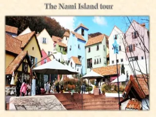 The Nami Island tour