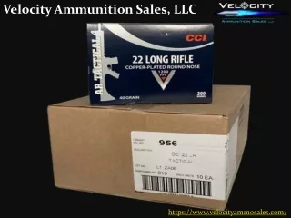 velocity ammunition sales llc