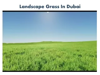 Landscape Grass In Dubai