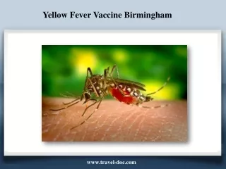 Yellow Fever Vaccine Birmingham