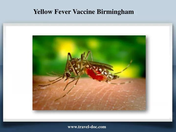 yellow fever vaccine birmingham