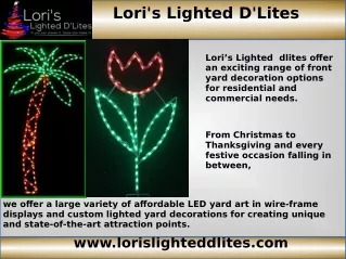 LED outdoor Christmas decorations