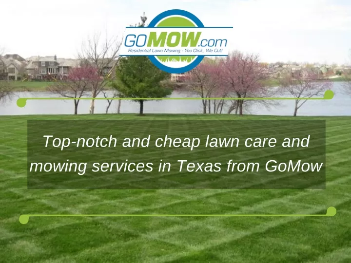 top notch and cheap lawn care and mowing services