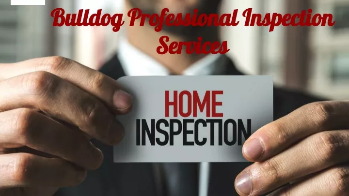 bulldog professional inspection services
