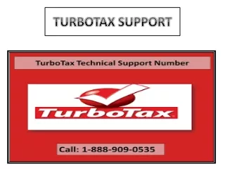 turbotax support