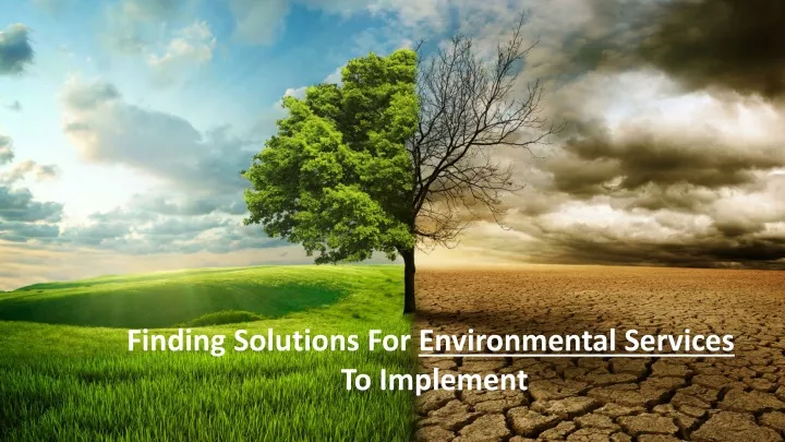 finding solutions for environmental services