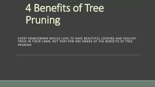 4 Benefits of Tree Pruning You Must Know