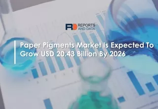 Paper pigments market In-Depth Analysis By Top Vendors To 2026
