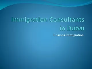 Immigration Consultancy in Dubai