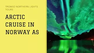 Catch the Glimpse of Tromso Northern Lights Tours