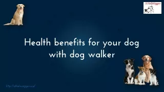 Health benefits for your dog with dog walker