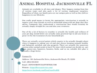 Animal Hospital Jacksonville FL