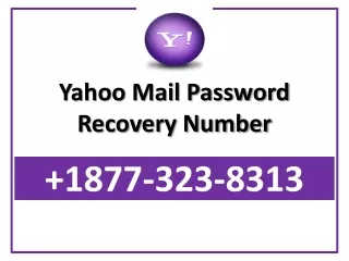 Yahoo Mail Password Recovery Number 1877-323-8313