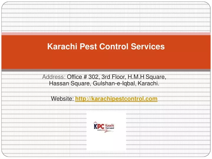 karachi pest control services