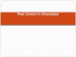 Pest Control In Ghaziabad