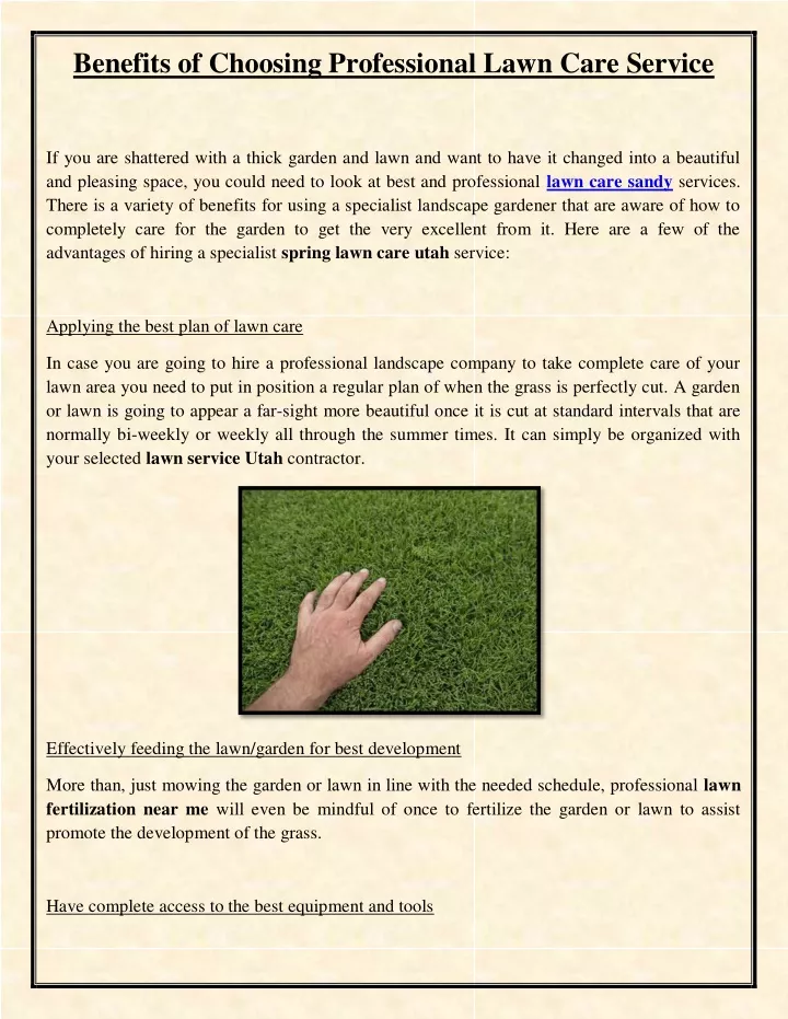 benefits of choosing professional lawn care